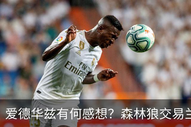 爱德华兹有何感想？森林狼交易兰德尔断臂求生 只为续约道苏姆？